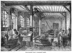 Forbereder mykt kledde skinn av English School